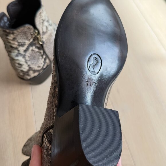 STALLION BLUE PYTHON ZORRO - Picture 4 of 9